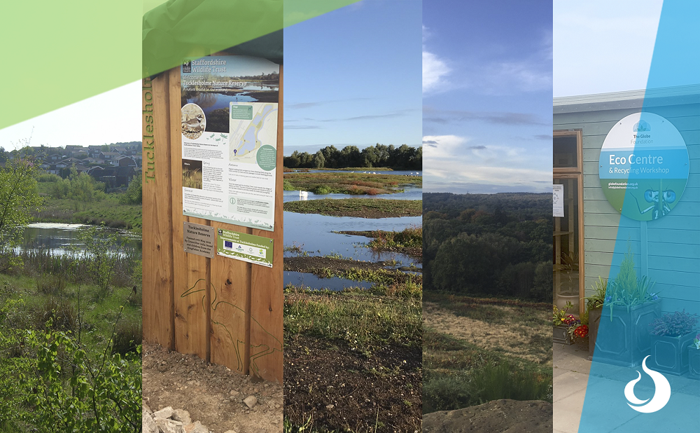 Photo with images of the 2020 PEBBLE projects