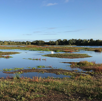 Photo of Middleston Lakes