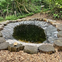 Photo of a pond
