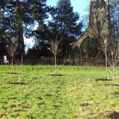 Photo of trees